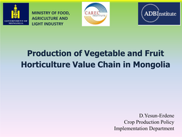Production of Vegetable and Fruit Horticulture Value Chain in Mongolia