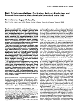 Brain Cytochrome Oxidase: Purification, Antibody Production, and Immunohistochemical/Histochemical Correlations in the CNS