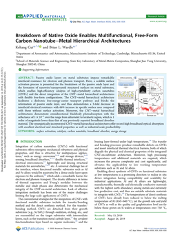 Breakdown of Native Oxide Enables Multifunctional, Free-Form Carbon Nanotube−Metal Hierarchical Architectures † ‡ † Kehang Cui*, , and Brian L