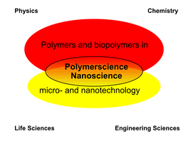 Polymers and Biopolymers in Micro- and Nanotechnology