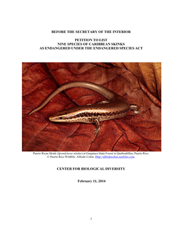 Caribbean Skinks Listing Petition