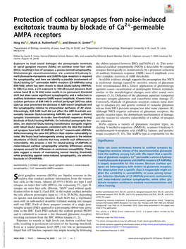 Protection of Cochlear Synapses from Noise-Induced Excitotoxic Trauma by Blockade of Ca2+-Permeable AMPA Receptors