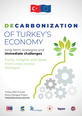 Decarbonization of Turkey's Economy