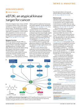 Eef2k: an Atypical Kinase Target for Cancer