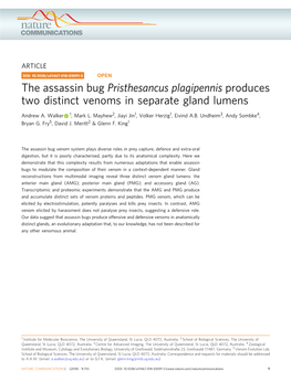 The Assassin Bug Pristhesancus Plagipennis Produces Two Distinct Venoms in Separate Gland Lumens