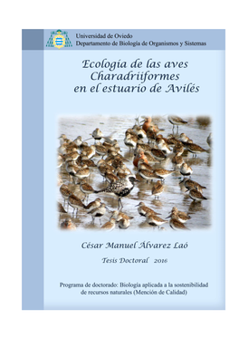 Tesis Doctoral Sobre Las Limícolas De La Ría De Avilés