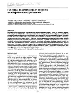 Functional Oligomerization of Poliovirus RNA-Dependent RNA Polymerase