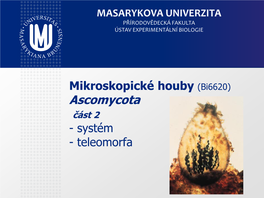 Ascomycota Pezizomycotina Leotiomycetes
