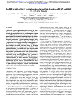 SABER Enables Highly Multiplexed and Amplified Detection of DNA And