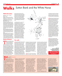 Sutton Bank and the White Horse