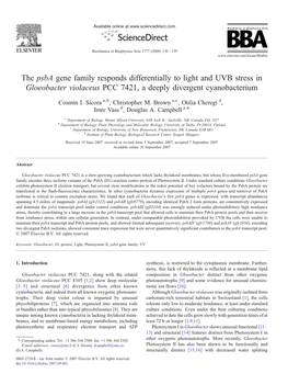 The Psba Gene Family Responds Differentially to Light and UVB Stress in Gloeobacter Violaceus PCC 7421, a Deeply Divergent Cyanobacterium