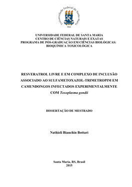 BOTTARI, NATHIELI BIANCHIN.Pdf (1.422Mb)