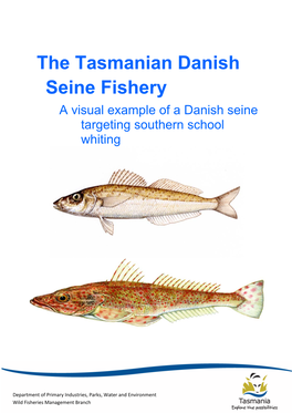 The Tasmanian Danish Seine Fishery a Visual Example of a Danish Seine Targeting Southern School Whiting