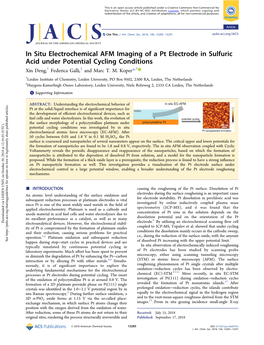 In Situ Electrochemical AFM Imaging of a Pt Electrode in Sulfuric Acid Under Potential Cycling Conditions † ‡ † Xin Deng, Federica Galli, and Marc T