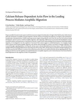 Calcium Release-Dependent Actin Flow in the Leading Process Mediates Axophilic Migration