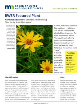 BWSR Featured Plant