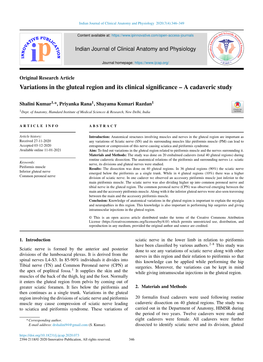 Variations in the Gluteal Region and Its Clinical Significance