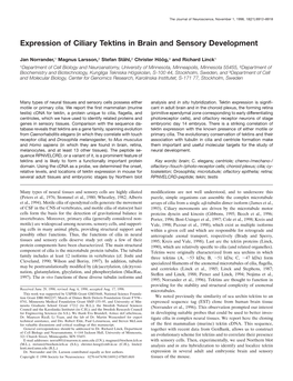 Expression of Ciliary Tektins in Brain and Sensory Development