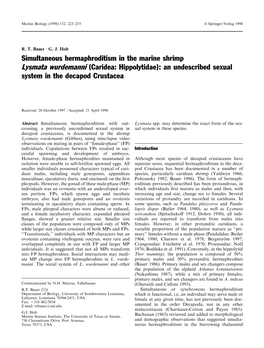 Simultaneous Hermaphroditism in the Marine Shrimp Lysmata Wurdemanni (Caridea: Hippolytidae): an Undescribed Sexual System in the Decapod Crustacea