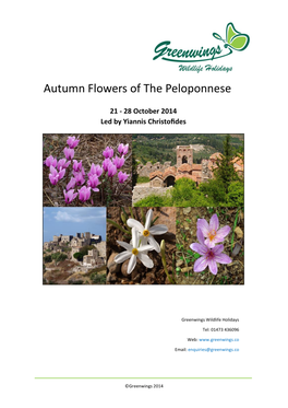 Autumn Flowers of the Peloponnese