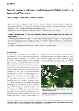 Sobre La Presencia Del Bonetero De Hoja Ancha (Celastraceae) En La Comunidad Valenciana