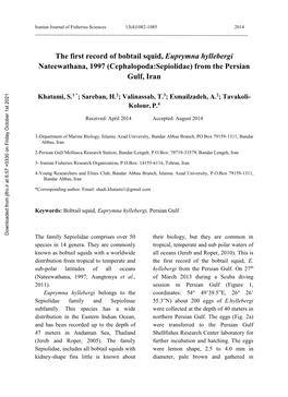 The First Record of Bobtail Squid, Euprymna Hyllebergi Nateewathana, 1997 (Cephalopoda:Sepiolidae) from the Persian Gulf, Iran