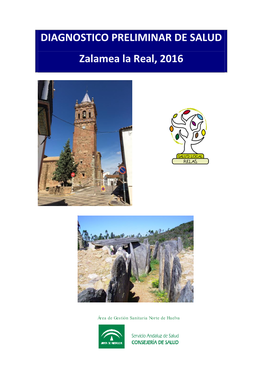 DIAGNOSTICO PRELIMINAR DE SALUD Zalamea La Real, 2016