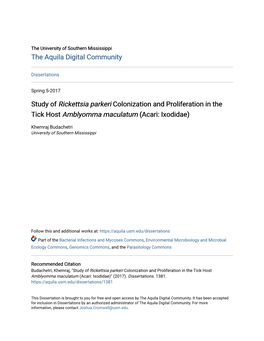 Study of <I>Rickettsia Parkeri</I> Colonization and Proliferation in the Tick Host <I>Amblyomma Maculatum<