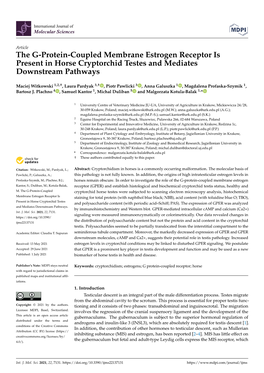 The G-Protein-Coupled Membrane Estrogen Receptor Is Present in Horse Cryptorchid Testes and Mediates Downstream Pathways