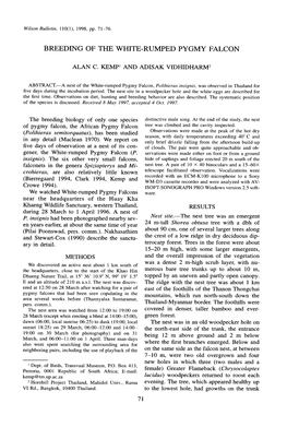 Breeding of the White-Rumped Pygmy Falcon
