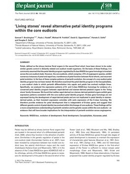 Living Stones Reveal Alternative Petal Identity Programs Within the Core