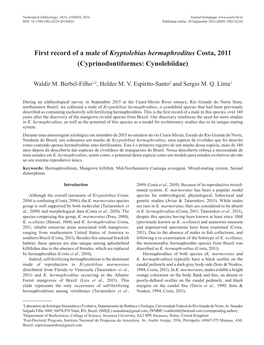 First Record of a Male of Kryptolebias Hermaphroditus Costa, 2011 (Cyprinodontiformes: Cynolebiidae)