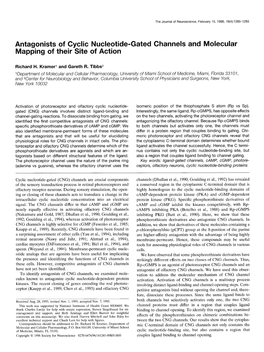 Antagonists of Cyclic Nucleotide-Gated Channels and Molecular Mapping of Their Site of Action