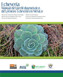 Manual Del Perfil Diagnóstico Del Género Echeveria En México