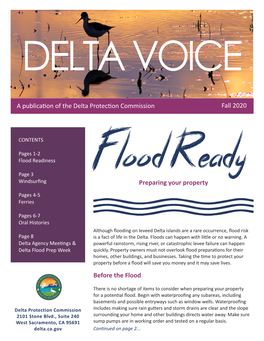 Delta Voice Fall 2020