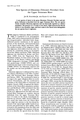 New Species of Etheostoma (Teleostei: Percidae) from the Upper