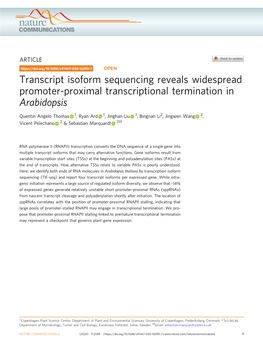 Transcript Isoform Sequencing Reveals Widespread Promoter-Proximal Transcriptional Termination in Arabidopsis