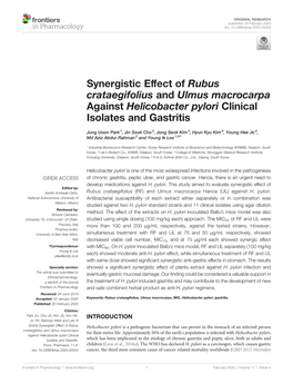 Synergistic Effect of Rubus Crataegifolius and Ulmus Macrocarpa Against Helicobacter Pylori Clinical Isolates and Gastritis