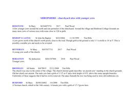 Shropshire Younger Yews