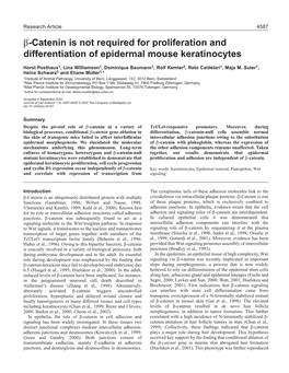 (Beta)-Catenin-Null Epidermal Keratinocytes