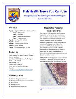 Steatitis in Fish