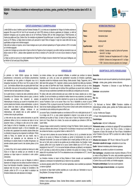 620A5A – Formations Cristallines Et Métamorphiques (Schistes, Gneiss, Granites) Des Pyrénées Axiales Dans Le B.V