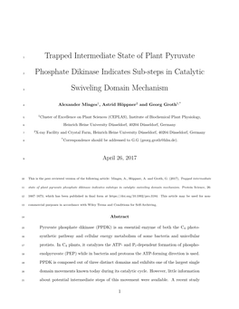 Trapped Intermediate State of Plant Pyruvate Phosphate Dikinase