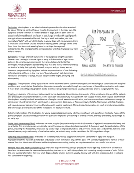 Hip Dysplasia