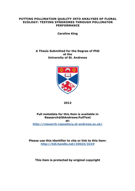 Caroline King Phd Thesis