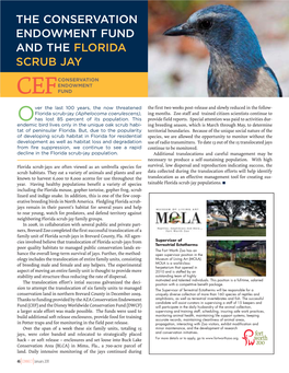 The Conservation Endowment Fund and the Florida Scrub Jay