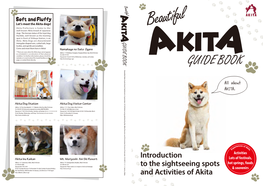 Introduction to the Sightseeing Spots and Activities of Akita