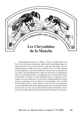 Les Chrysididae De La Manche
