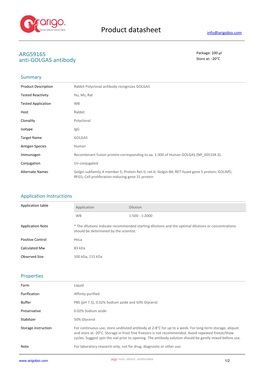 Anti-GOLGA5 Antibody (ARG59165)