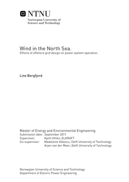 Wind in the North Sea. Effects of Offshore Grid Design on Power System Operation